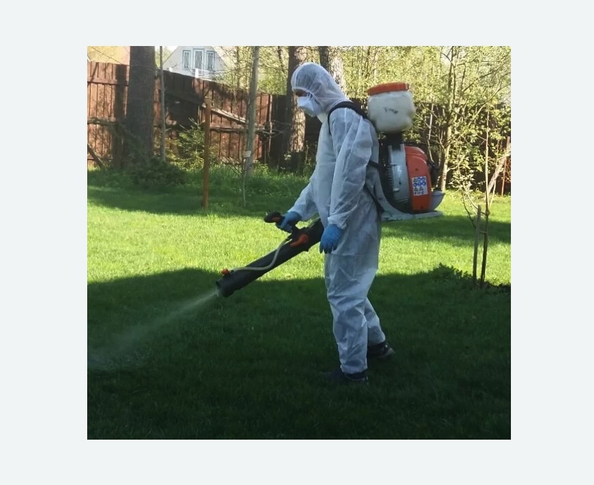 Обработка территории от клещей в Петергофе