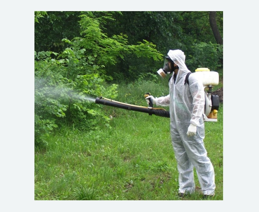 обработка территории от клещей в Петергофе