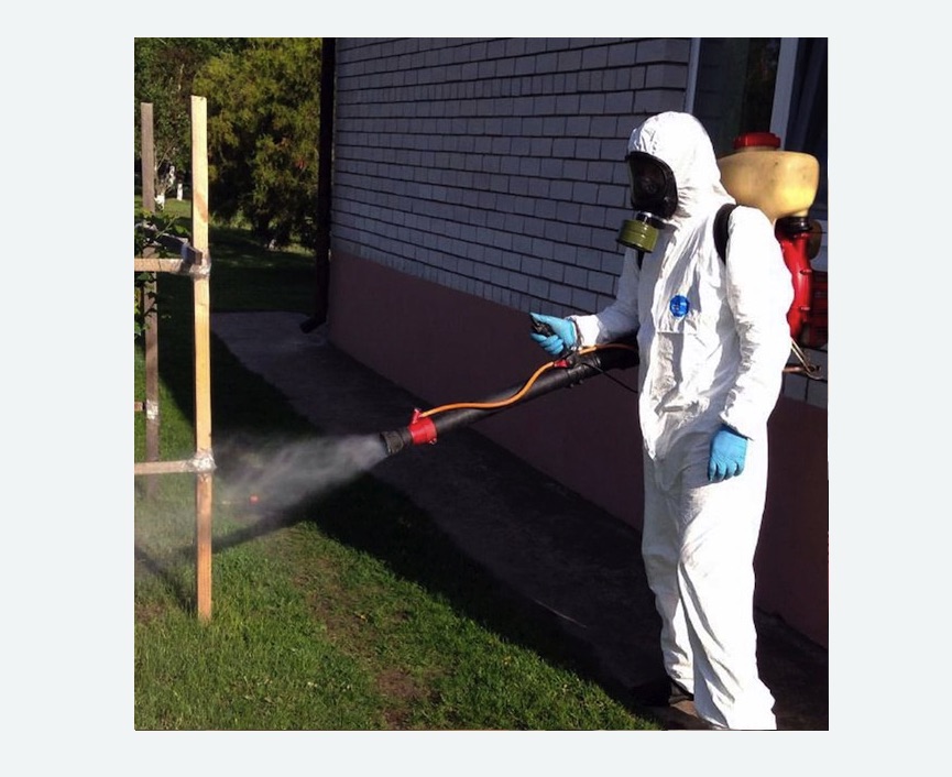 травля клещей на участке в Петергофе