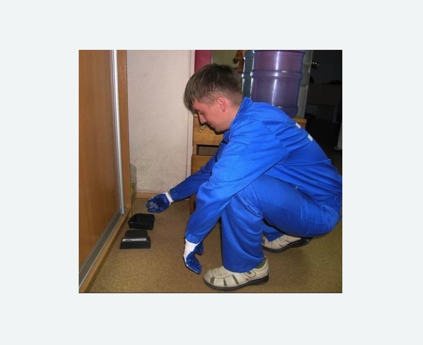 Дератизация крыс в Петергофе