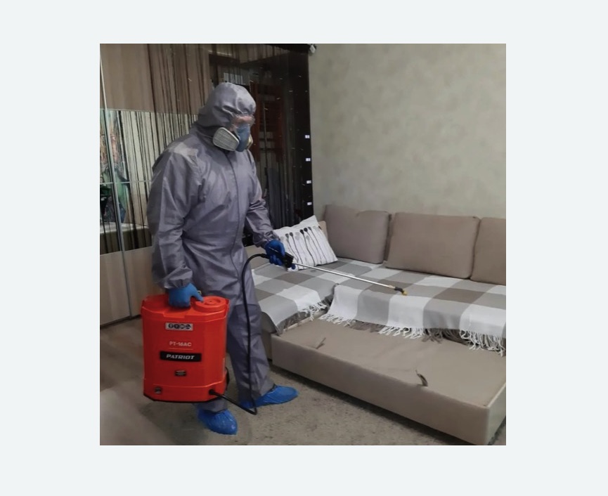 Обработка квартиры от блох в Петергофе Обработка квартиры от блох