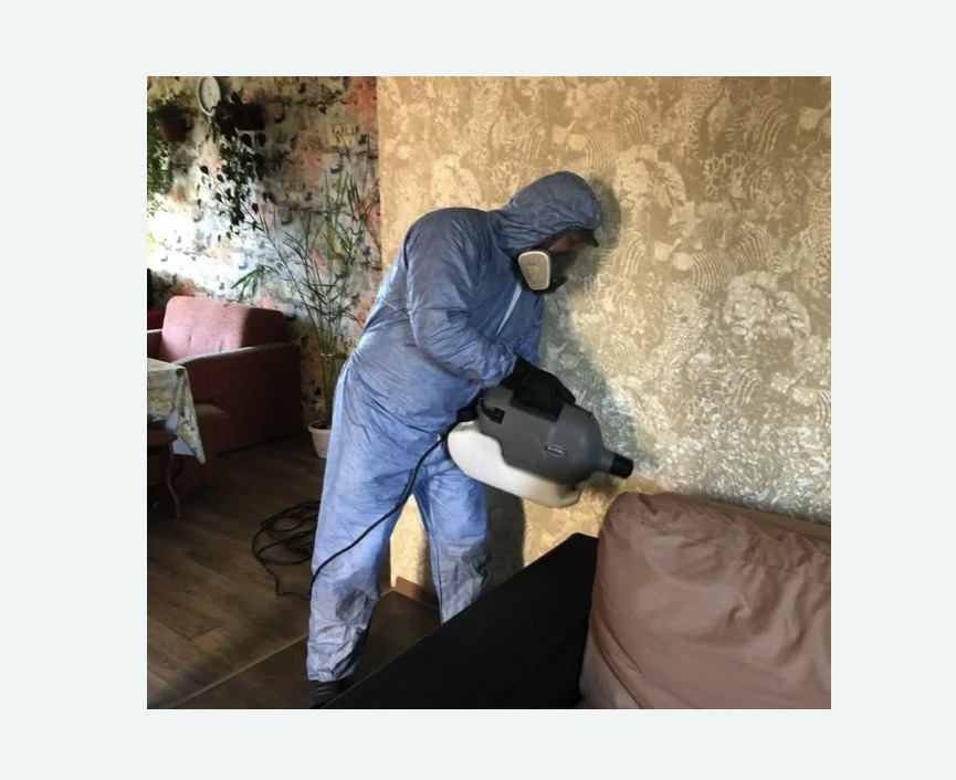 Уничтожение блох в квартире. Петергоф Уничтожение блох в квартире