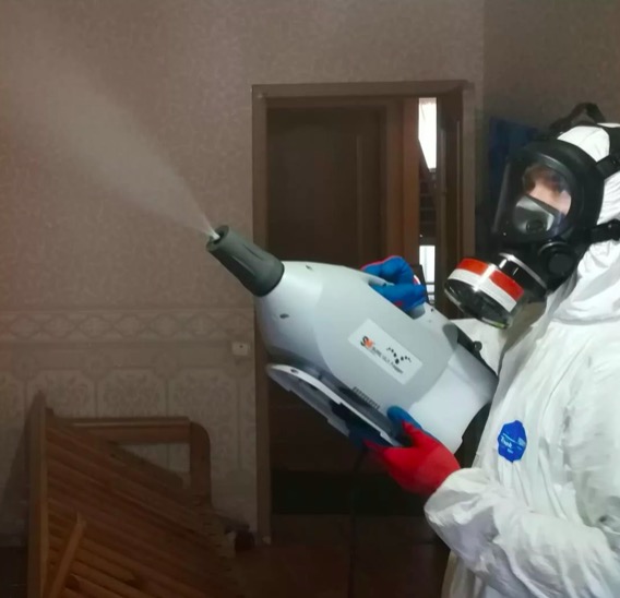 дезинсекция помещения в Петергофе