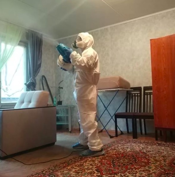 дезинсекция квартиры в Петергофе