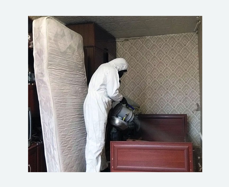 дезинфекция от клопов в Петергофе