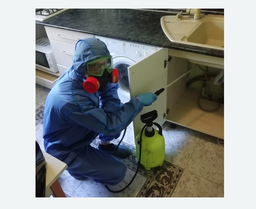 обработка от муравьев в квартире в Петергофе