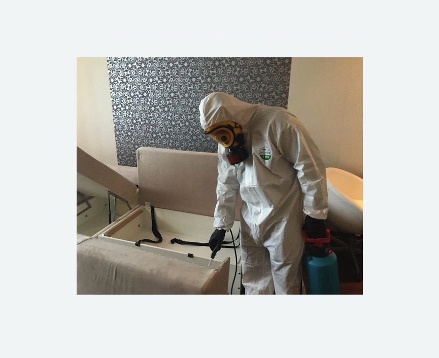 уничтожение клопов в квартире в Петергофе