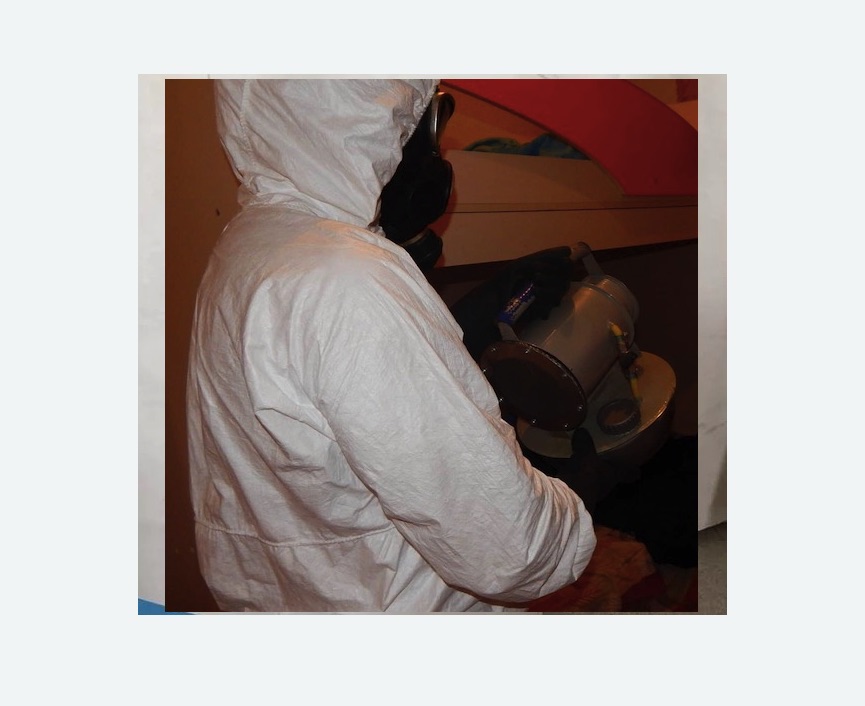 Дезинфекция от муравьев в Петергофе