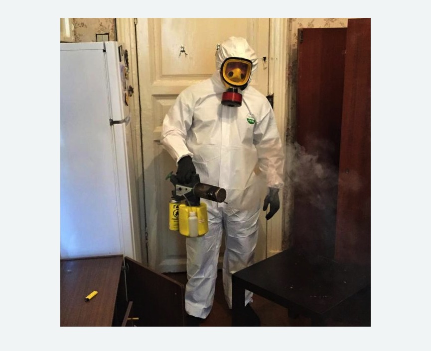 уничтожение муравьев в квартире в Петергофе